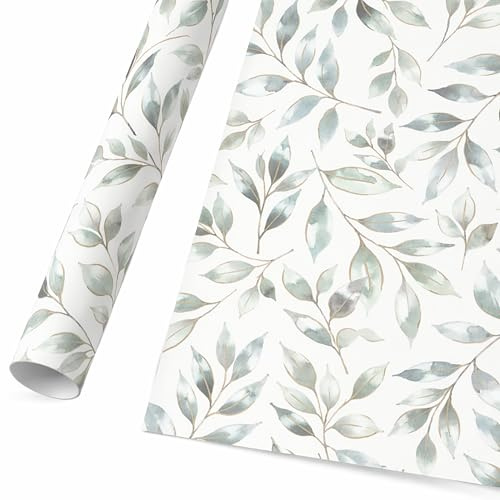 Geschenkpapier 70cm x 2m Rolle Eukalyptus Blätter - Geschenkpapierrolle im mediterranen Design - Verpackungspapier für Geburtstag Mitbringsel Überraschung - Packpapier - Weiß Grün