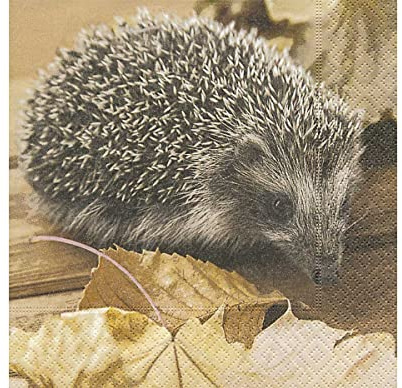 20 Servietten 33x33cm Igel