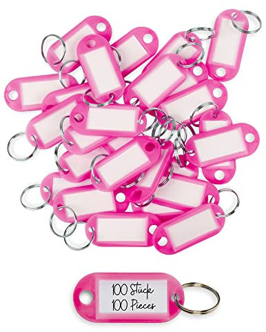 WINTEX Porte Clé Etiquette - 100 pièces - Porte Cle avec Etiquettes en Plastique Résistant - Porte Clef Colorés pour Organisation Voyages Animaux Domestiques - Rose