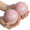 Navaris 2X Gymnastikball klein für Pilates 0,5kg - Pilates Ball Medizinball Set - 2er Pack Yoga Ball Pilatesball Fitnessball klein mit 0,5kg Gewicht - Gymnastikbälle