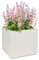 vidaXL Chalk White Quadratischer Garten Pflanzkübel | Robustes Polypropylen Außen 36 x 35 cm Minimalistisches Design Perfekt für Blumen und Sträucher Wetterfester Behälter Deko Großer Kasten Modern