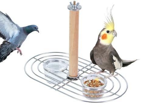 Lembeauty Vogelnäpfe Für Käfig | Aufhängbarer Futterplatz,Futterplatz Für Nymphensittiche,Für Garten Balkon Voliere Nymphensittiche Wellensittiche GrauAras Sittiche Finken