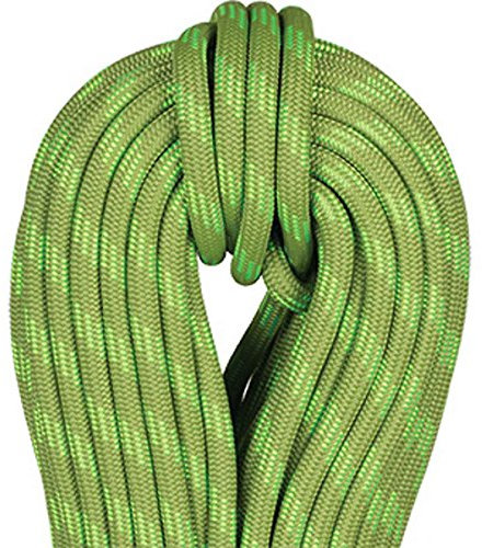 Beal Wall Cruiser Unicore 9.6 Mm 30 M Grün - Leistungsstarkes Kletterseil, 30 m, Größe 30 m - Farbe Green