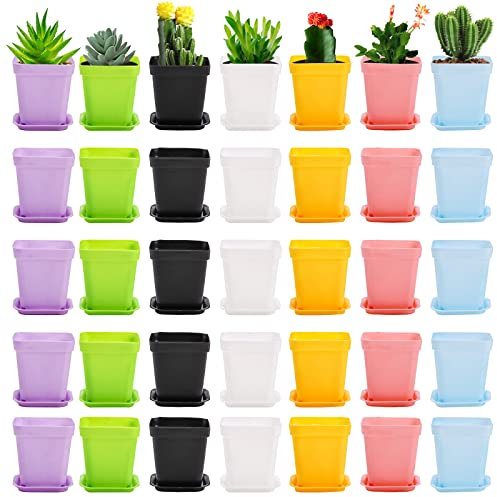 Hedume Lot de 70 Pots de Fleurs en Plastique coloré, Mini Pots de Fleurs carrés avec Palette, Plantes d'intérieur