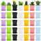 Hedume Lot de 70 Pots de Fleurs en Plastique coloré, Mini Pots de Fleurs carrés avec Palette, Plantes d'intérieur