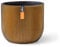 Capi Europe - Pot Boule Groove Black & Gold - 24x21 - Or - Ouverture Ø21 - Pot pour l'intérieur - BGVGB134