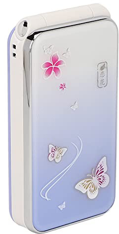 N509 Téléphone Portable à Rabat pour Seniors, écran 2,4 Pouces 2G débloqué, Double Carte SIM, Fonction SOS, Lecteur de Musique et Vidéo, Téléphone à Rabat de Poche, Batterie 6800 (Violet)