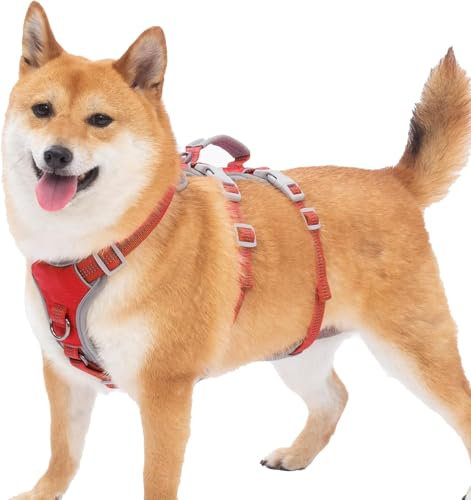 Huntboo Ausbruchsicheres Hunde Geschirr - Reflektierend, Wasserdicht, Verstellbar Mit Gepolstertem Griff für Mittelgroße Hunde, Spazieren Gehen, Trainieren (Rot, M)