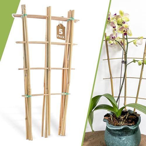 5 Pack 16 Bamboo Trellis for Climbing Plants-Natural Garden Ladder Trellis, Fan -Shaped Support Trellis for Potted Plant Decor in Door