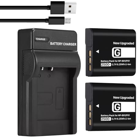 2500mAh Akku (2er-Pack) & USB-Ladegerät für Sony NP-BG1 NPFG1 NP-FG1 NPBG1 und für Cyber-Shot DSC-W120 W150 W220 DSC-H3 H7 H9 H10 H20 H50 H55 H70 DSC-HX7V DSC- C-HX30V DSC-HX9V DSC-HX10V DSC-HX5V