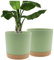 ADA 20cm Plant Pots, Modern Planters with Drainage Holes and Detachable Saucer Plastic Flower Pots for Plants for House Garden Windowsill, Planters Pack of 2 Self-Watering Plant Pots(Green)
