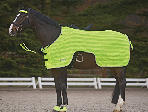 Amesbichler Reitsport Waldhausen Reflex Ausreitdecke reflektierende Ausreitdecke gelb