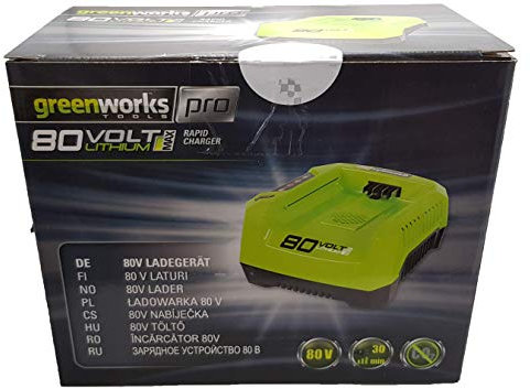 Greenworks 80V Chargeur de Batterie Domestique Noir, Vert - Chargeurs de Batterie (Secteur, 4,2 A, 0,75 H, 1,25 H, 1,6 kg, Noir, Vert)