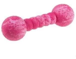 Wolters Cat & Dog Aqua-Fun Gym 23 cm, Aqua, Hundespielzeug, Wasseraktivitäten, Erwachsene Hunde, Large