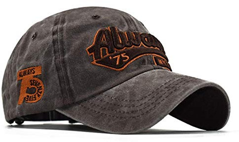 Baseball Kappe Spring Cotton Cap Baseball Caps Hysteresenhut Summer Cap Hip Hop Fitted Cap Hüte Für Männer Frauen Schleifen Multicolor XXL Brown