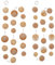 BOLTZE 2 x Girlande Chakra Capiz beige Länge 180 cm