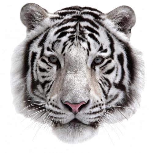 Codulu Bügelbild zum Aufbügeln,3D-Aufnäher mit weißem Tiger,Wärmeübertragungsaufkleber,Motiv-Applikationen für DIY-T-Shirts,Jeans,Taschen,Hüte,Rucksäcke,Zubehör,-S