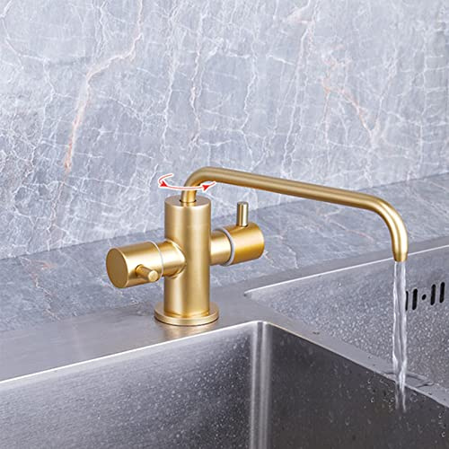Robinet de cuisine filtre à eau en acier inoxydable pivotant double purificateur d'eau robinets brossé or-D