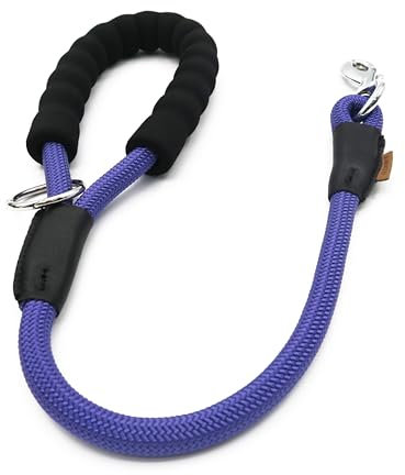 Aiminto Laisse pour chien, corde tressée de traction – Laisse d'entraînement pour chiens de taille moyenne/grande (1,27 cm) x 0,6 m, violet