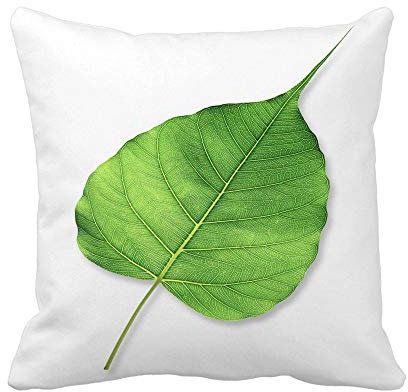Kissen Fall 45X45cm, Peepal Green Bodhi Leaf Tree Autumn Beauty Botanische Botanik Quadratische Kissenbezüge Resistent Throw Kissenbezüge Für Schlafzimmer Kopfkissen Couch
