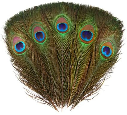 Wisafory 50 Stück Künstliche Pfauenfedern zum Basteln Natürliche Pfau Schwanzfedern Deko mit Augen Federn Bastelfeder für DIY Craft Hüte Kostüm Hochzeit Party Heimdekoration 25-30cm