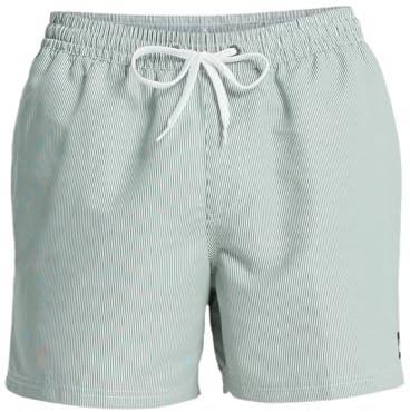 Quiksilver Short de Bain Everyday Deluxe Volley 15 Homme Vert