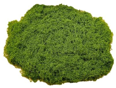 Mousse végétale artificielle, vert clair, fausse mousse pour travaux manuels, décoration de mousse, plante verte mousse, décoration de maison, jardin, paysage, herbe artificielle, pour décoration de