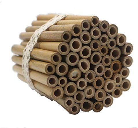Super Idee Lot de 50 tubes en bambou de 10 cm de long à construire soi-même, réutilisables, en bambou, pour maison à insectes, hôtel d'abeilles sauvages, maison d'abeilles, hôtel d'abeilles, aide à la