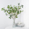 VaryFloral Set de 6 Branche Artificielle Vert Plante Artificielle Branche Decorative Plante Artificielle Ficus Branche Decorative Bois avec Feuilles d'Eucalyptus pour Salon Jardin Bureau Bouquets
