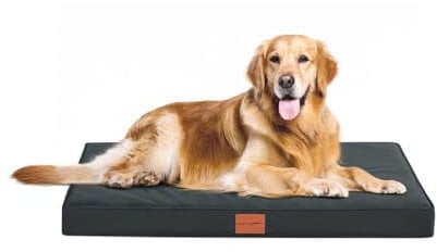 WAVVE Orthopädisches Hundebett, Hundesofa mit Eierkartonschaum für mittelgroße Hunde, 91 x 69 cm, Abnehmbare und Waschbare, rutschfeste Unterseite, Grau