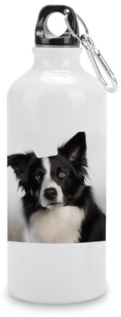 Bottiglia d'acqua in alluminio riutilizzabile Border Collie stampa bottiglie a prova di perdite bottiglia sportiva per palestra escursionismo ciclismo campeggio pesca