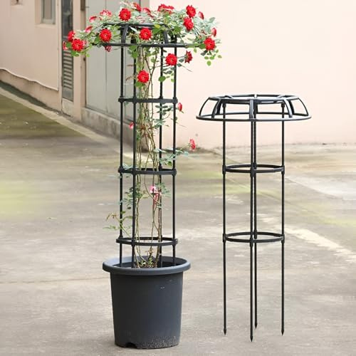 Verstellbares Rankgitter für Kletterpflanzen im Freien – Pilz-Top-Pflanzenstütze Obelisk für Topfreben, Rosen, Clematis & Gemüse (50 x 75 cm)