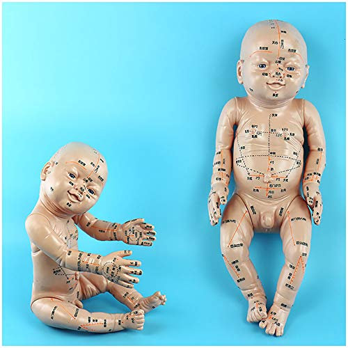 Menschliche Akupunktur Baby-Modell - Pädiatrische Massage Puppe Modell - Chinesische Medizin Universal-Akupunkt-Massage Kinder Simulation Model - Baby Pediatric Massage Praxis-Fälschungs-Baby,A