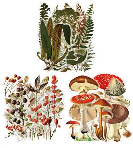 TOYMIS 120pcs Plant Journaling Stickers, Waterproof Transparent Vintage Fern Mushroom Flower Nature Scrapbook Sticker for DIY Crafts Cards, Water Bottle, Phone Case, Laptop, Journal Album Decoration