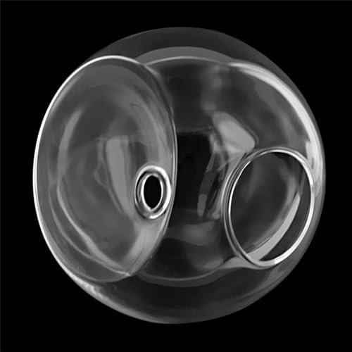 Macetas redondas de cristal para colgar en la pared, 10 cm, 12 cm, 15 cm de diámetro, jarrones para plantas de agua, florero de aire, terrarios, contenedor de plantas (transparente, 12 cm)