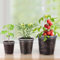 Lot de 10 pots de fleurs en plastique transparent avec trous de drainage, petits pots de fleurs pour chambre d'enfant, pots de fleurs pour boutures, plantes grasses (7,6 cm)