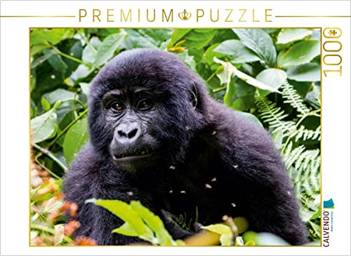 CALVENDO Puzzle Junger Berggorilla | 1000 Teile Lege-Größe 64 x 48 cm Foto-Puzzle für glückliche Stunden