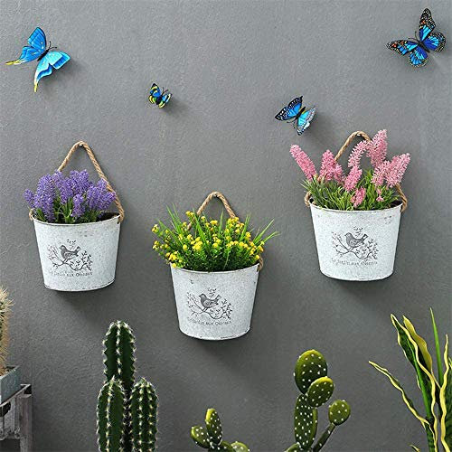 Wankd 1 Stück Pflanztöpfe Metall Halbe Rund Wand Hängende Blumentopf Sukkulente Pflanzer mit Seil Wand Garten Home Deko