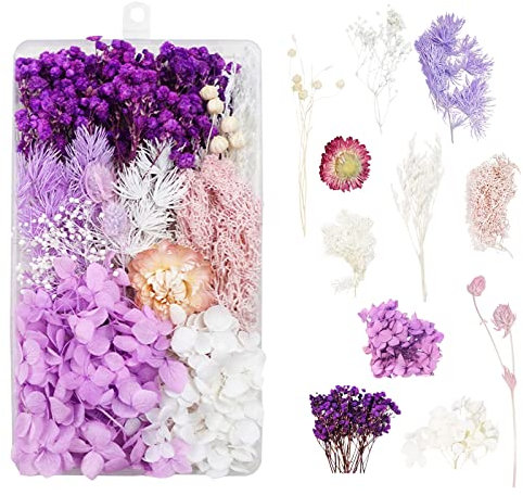 Fiori Secchi per Resina, Decorativi, Candele e Decorazioni Epossidiche - Bouquet per Artigianato, Scrapbooking e Decorazioni Floreali (Viola)
