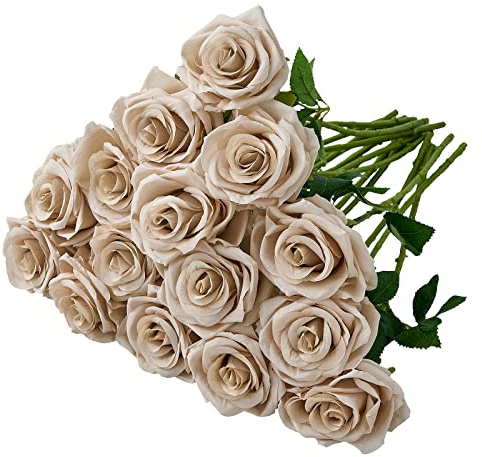 Carlita‘s Blooms 15pcs Fake Roses Artificial Silk Flowers Nude Faux Rose Flower Long Stems Bouquet for Arrangement Wedding Centerpiece Party Home Kitchen Decor (VASE IS NOT INVLUDED)