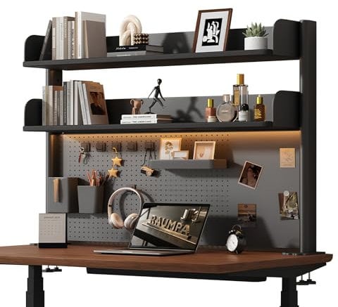 RAUMPA Tischregal Schreibtisch Regal Schreibtischregal Schwarz, Regalaufsatz Klemmbar Schreibtischregal Desk Shelf Tisch Aufsatzregal Bücherregal Lochwand Organizer Metall