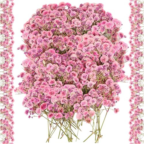 100 Stück Getrocknete Blumen, Rose Klein Baby’s Breath Blumen Echte Natur Trockenblumen für DIY Kerze Harz Schmuck Nagel Kunst Basteln, Mini Blumenstrauß Deko