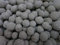Biohome SuperBioGravel Aquarium-Filtermedium, 1 Pound
