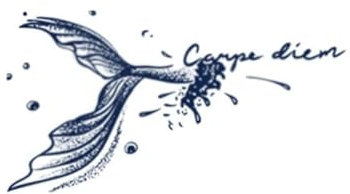 Tatuaje Temporal De Cola De Ballena Pegatina Planta Tinta Impermeable Semipermanente Y Duradero 2 Semanas Carpe Diem Clavícula Inglesa Mujeres