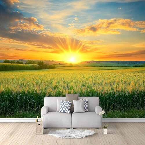 Papier Peint Mural 3D Paysage Coucher Soleil Sur Champs Campagne 350x256 cm Papier Peint Panoramique Poster Tapisserie Photo, Papier Peint intissé pour Chambre Salon Personnalisé Murale Décoration