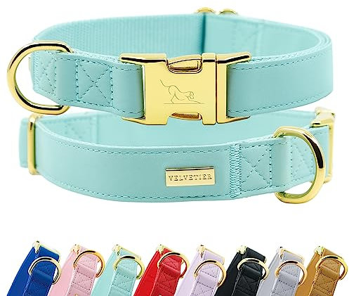 Halsband Hund von VELVETIER® | Stilvolles Hundehalsband aus Microfaser-Leder für kleine & große Hunde | Außen robust, innen weich | Hunde Halsbänder - M/L: 41-63cm, Paris (Mintgrün)