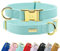 Halsband Hund von VELVETIER® | Stilvolles Hundehalsband aus Microfaser-Leder für kleine & große Hunde | Außen robust, innen weich | Hunde Halsbänder - M/L: 41-63cm, Paris (Mintgrün)