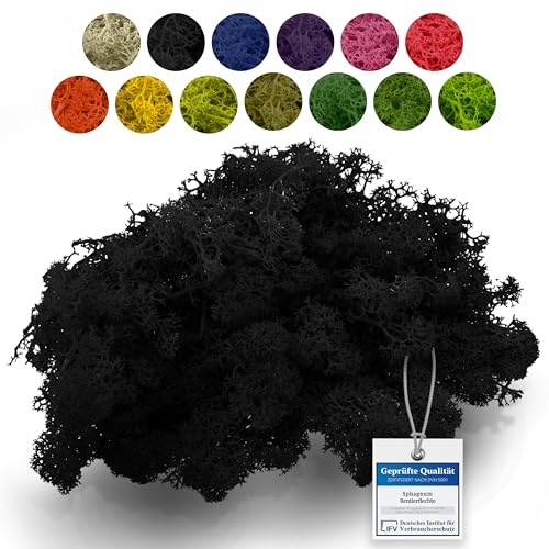 Sphagnum-Shop 500g Islandmoos Schwarz - Rentierflechte als Deko Moos | Konserviertes Naturmoos zum Basteln, für den Modellbau und Moosbilder - weich, farbecht und pflegefrei ohne Gießen