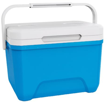 Contenitore termico rigido portatile da 6 litri in HDPE con maniglia e strato isolante per bevande calde/fredde e capacità di mantenimento della freschezza Ghiacciaia per campeggio, picnic, ester