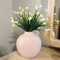 Willowy 19,1 cm beige Porzellanvase mit glänzendem Finish – Große hellbraun/rosa/beige Vasen für Blumen, beige Vasen für Dekor, beige Blumenvase, runde Vase, Vase für Pampasgras, moderne Vase
